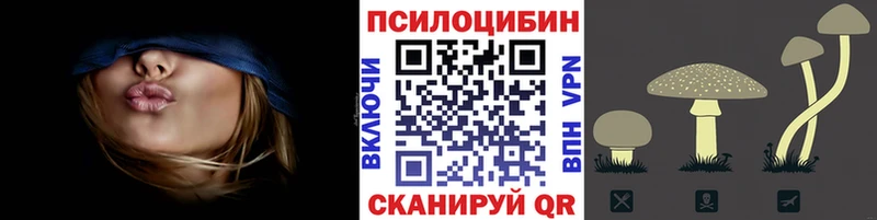 KRAKEN зеркало  Сегежа  Псилоцибиновые грибы Magic Shrooms 