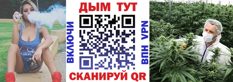 Каннабис Amnesia Сегежа